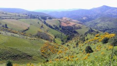 3 Paisaje desde el camino de subida a O&nbsp;Cebreiro
